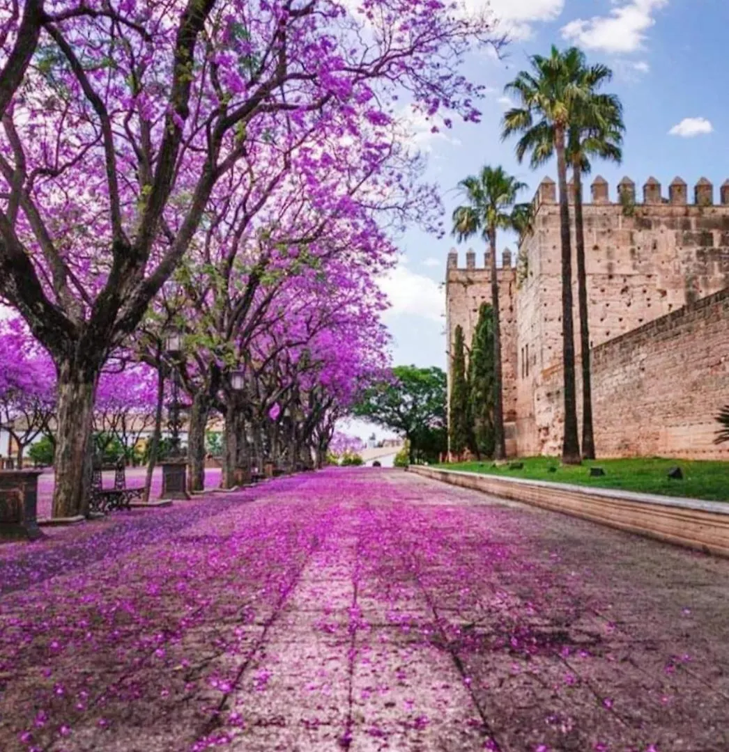 Sherryflat Alameda جيريز 0*,  إسبانيا